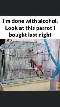 Parrot :-)