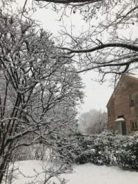 02_07_2021_Snow_scene