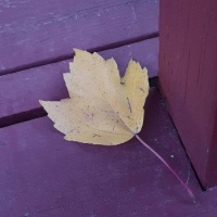 Fall - 3