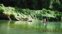 Jungle River