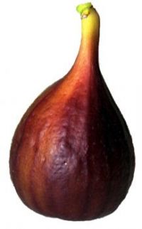 I Don't Give a Fig ;)
