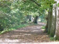 Pathway at Upton House Poole UK