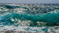 wave