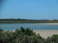 Het Zwin