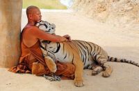 La tendresse