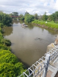 Local River after Rain