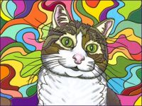 doodle cat 9