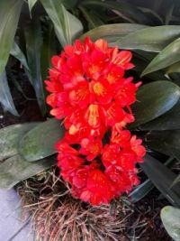 IMG-20180914-WA0002