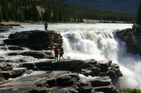 Athabasca Falls in the Rockies