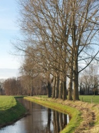 Poelsbeek