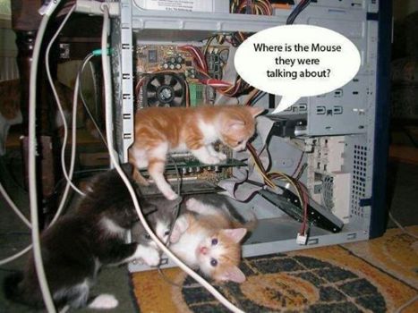 Cat-puter Technicians...