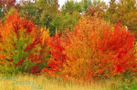 Solve Jeseň je tu. The Autumn is here. jigsaw puzzle online with 40 pieces