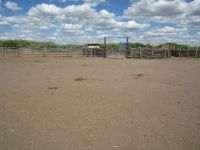 fences