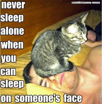 Never Sleep Alone....
