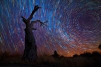Star Trails 44