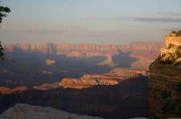 Eagle-Grand Canyon