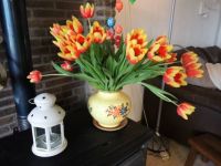 more tulips!
