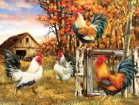 Rooster farm