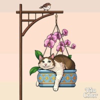 Just hanging out . . . . .