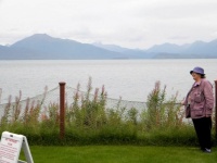 On the  liff at Homer, Kachemak Bat, Alaska