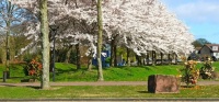 March 29, 2025, Almere Netherlands