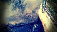 Reflections On The Weir