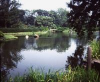 In the Missouri Botanical Gardens