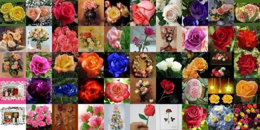 All-Star Roses Puzzles #151 through #200