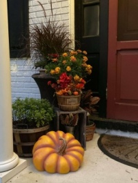 Hello fall