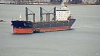 Barbro G - Ocean-Going Freighter - St Ste Marie, MI (2024-03-27)