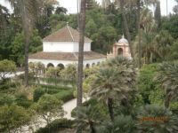 sevilla 4