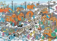 South pole expedition