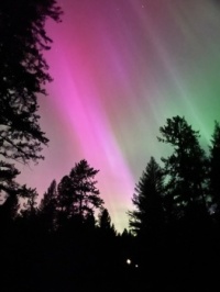 northern lights color the skies