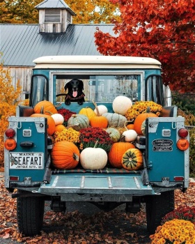 Solve Guard dog jigsaw puzzle online with 42 pieces