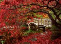 Bridges in fall