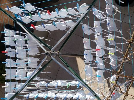 mondmaskers aan de lijn/Protection masks drying in the sun