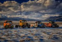 put out to pasture