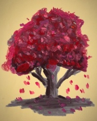 Japanese Maple Tree