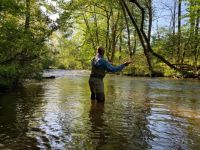 Fly Fishing Catch and Release