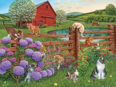 cat farm