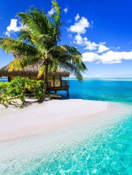 Dream House On A Beach in Tahiti