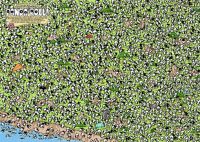 Find Chaffy Panda-Roll