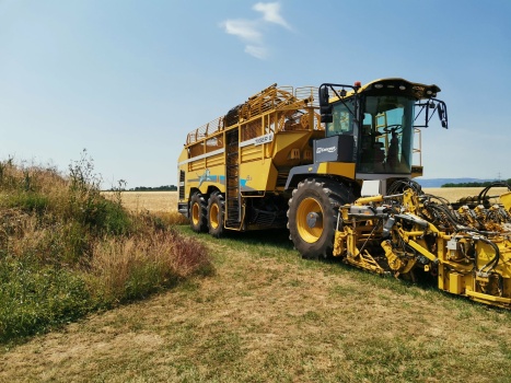 Solve Landwirtschaft in Nieder Erlenbach jigsaw puzzle online with 252