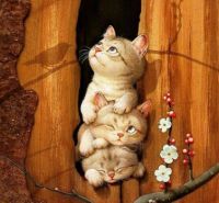 Kittens In Tree