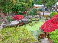 A nice pond at a garden center