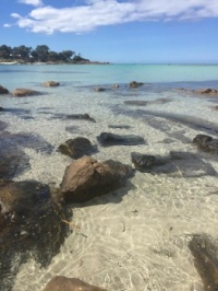Dunsborough, Western Australia