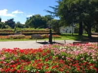 Queen Elizabeth Park #1