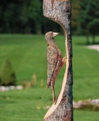 houten vogel ValentinaAndrei