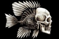 Fish Skeleton