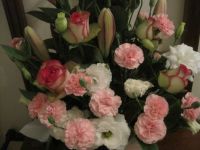Pinks